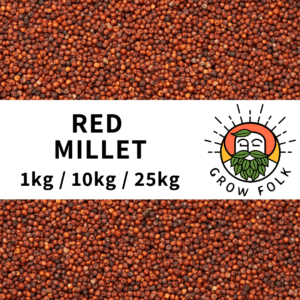 Red Millet Grain