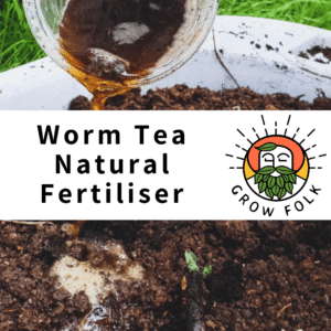 Worm Tea Natural Fertiliser