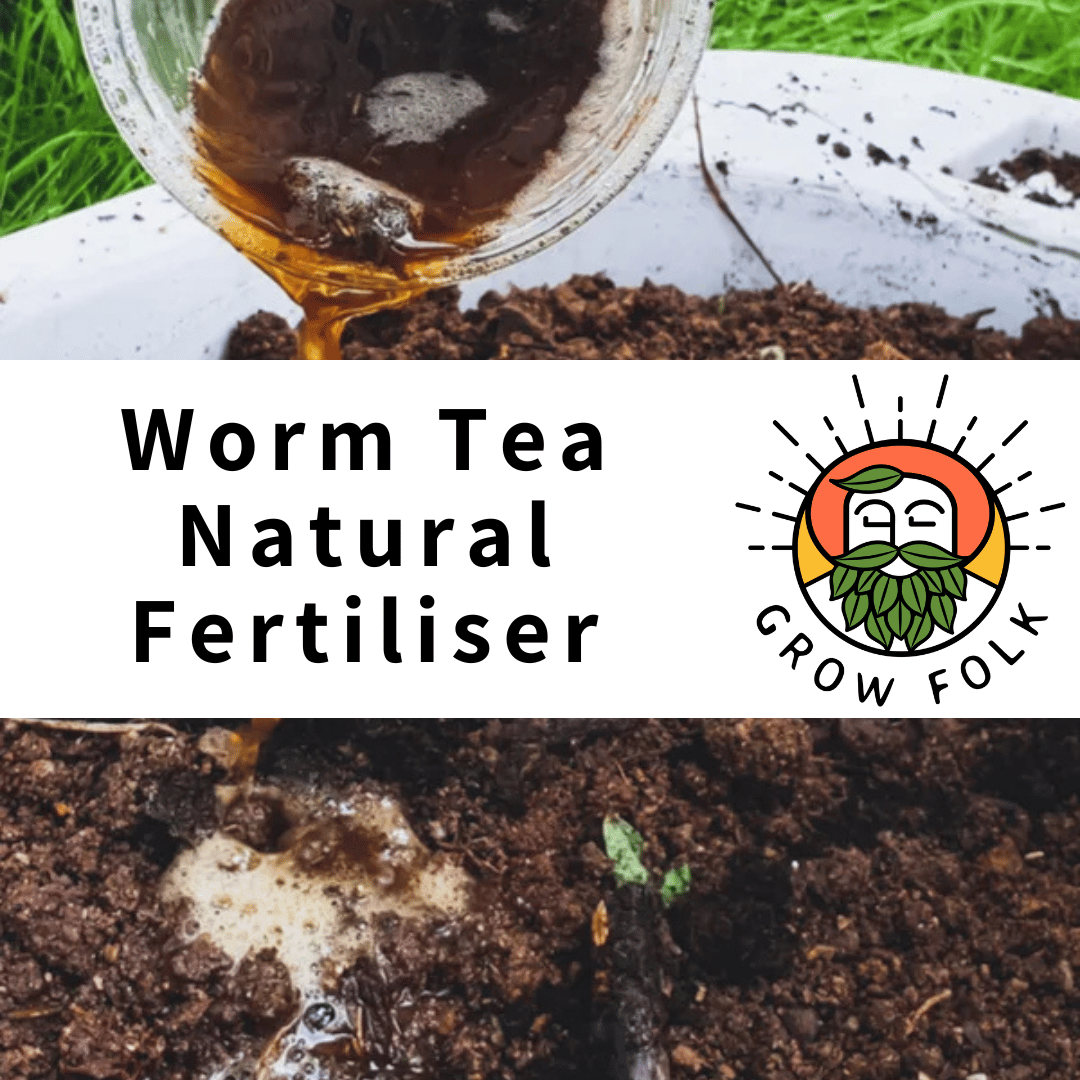 Worm Tea Natural Fertiliser 1 Worm Tea Natural Fertiliser