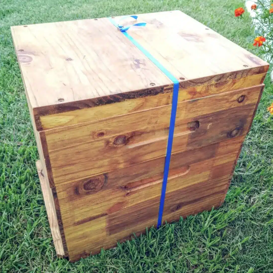 Complete Beehive 2 Complete Beehive - Image 2