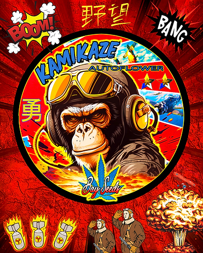 Kamikaze Fem Auto 1 Kamikaze Fem Auto