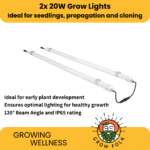 LED Grow Lights 113.5cm for Seedlings, Propagation, Cloning - Set of 2