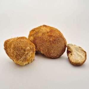 Lion's Mane Mushrooms Dried 50g