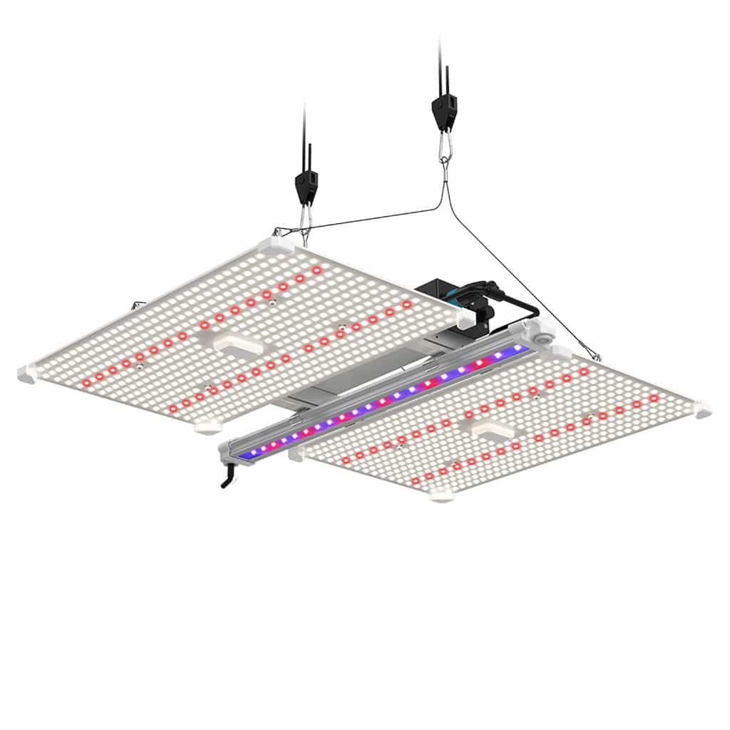 Lumii Black Blade 400w LED Grow Light 4 Lumii Black Blade 400w LED Grow Light - Image 4