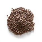 Maple Peas Microgreens and Sprouting Seed 1KG