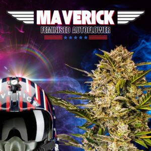 Maverick Fem Auto