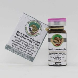 Metarhizium Anisopliae Spore Vial