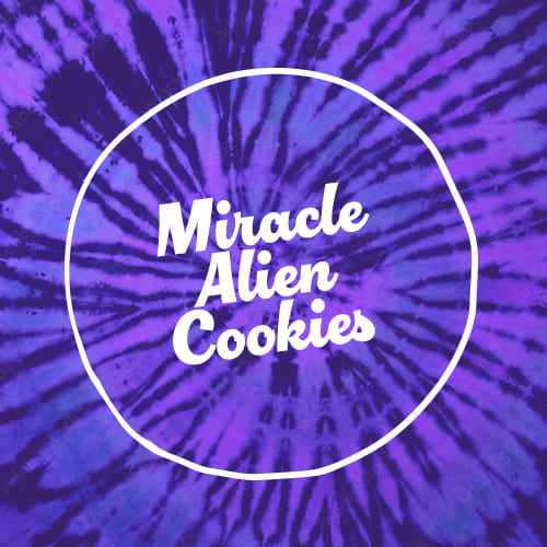 Miracle Alien Cookies Feminised Seed 3+1 1 Miracle Alien Cookies Feminised Seed 3+1