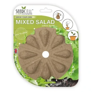 Mixed Salad SeedCell - Rocket, Lettuce, Cucumber, Cherry Tomato
