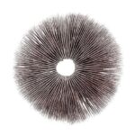 Mushroom Spore Print Tidalwave