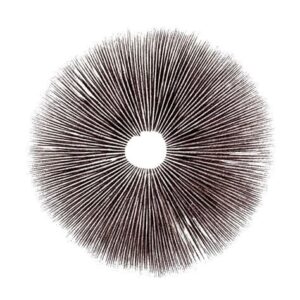Mushroom Spore Print Tidalwave