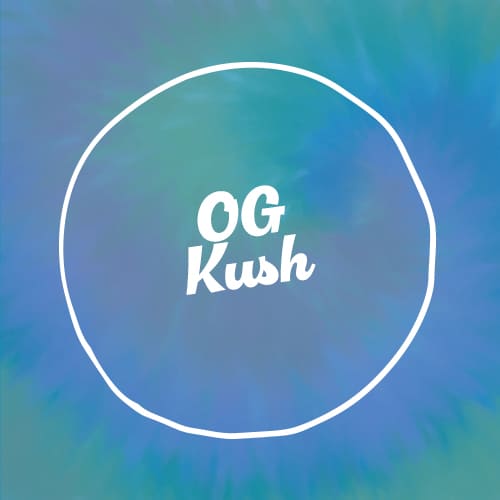 OG Kush SS Feminised Seed 3+1 1 OG Kush SS Feminised Seed 3+1