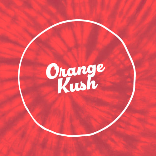 Orange Kush Feminised Seed 3+1 1 Orange Kush Feminised Seed 3+1