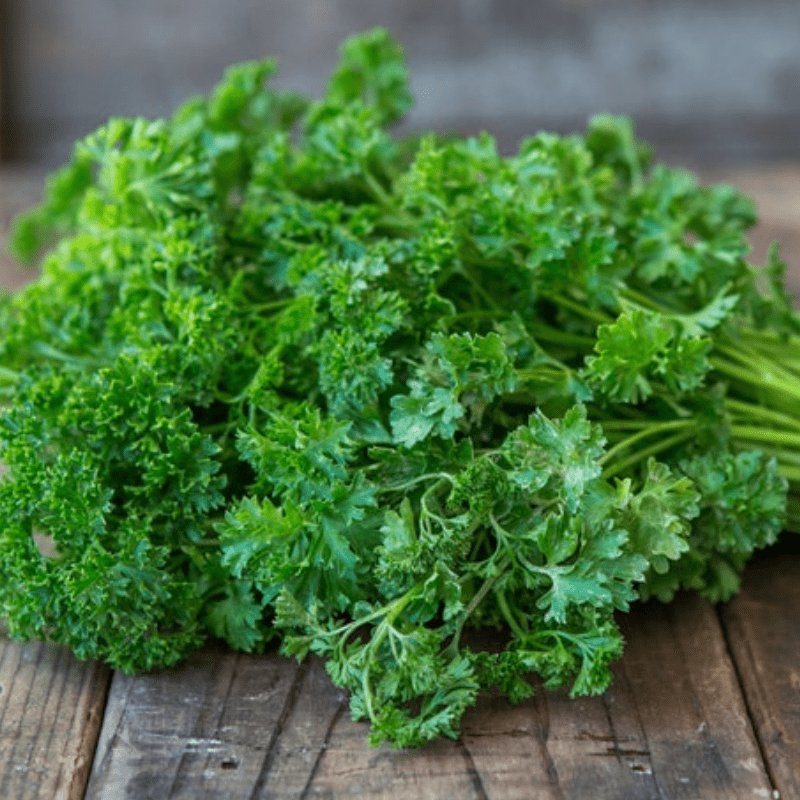 Parsley - Curly Mos - Organic Seeds 1 Parsley - Curly Mos - Organic Seeds