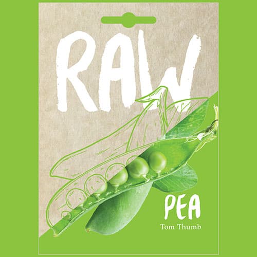 Pea Tom Thumb 1 Pea Tom Thumb