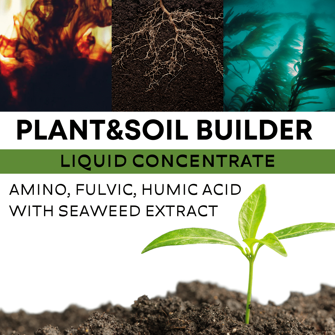 Plant&Soil Builder: Amino, Fulvic, Humic, Seaweed Extract Liquid 1 Plant&Soil Builder: Amino, Fulvic, Humic, Seaweed Extract Liquid