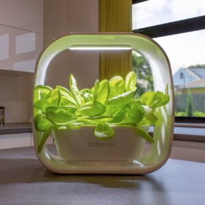 Herb Garden Smart Self-Watering Compact System