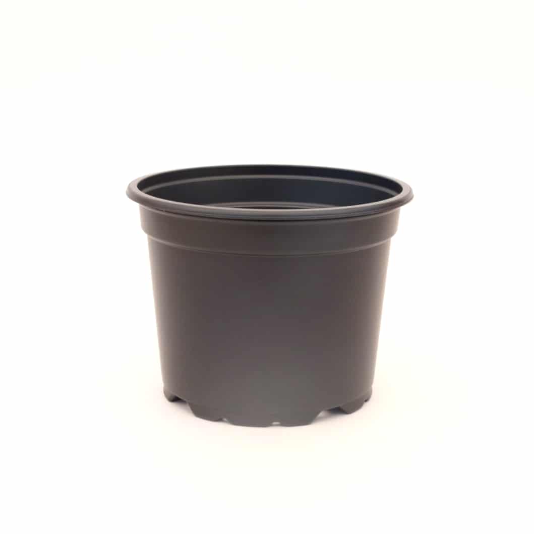 Pot 14cm Black: 1L 1 Pot 14cm Black: 1L