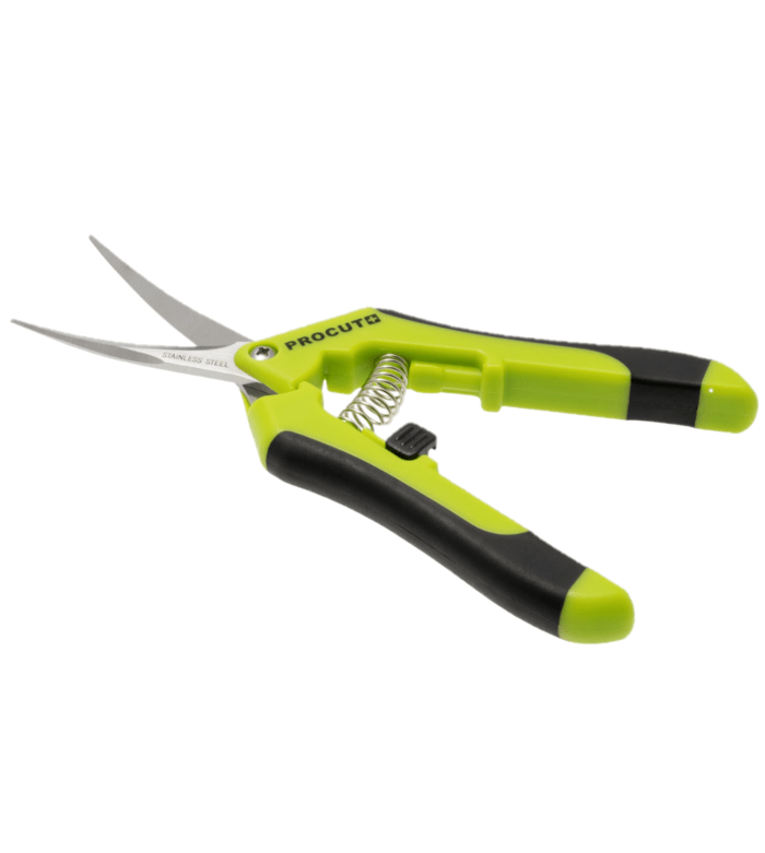 Procut Curved 1 Procut Curved