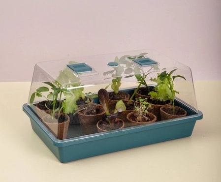 Propagator Hard Dome Medium 2 Propagator Hard Dome Medium - Image 2