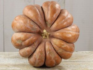 Pumpkin - Musquee De Provence - Heirloom Seeds