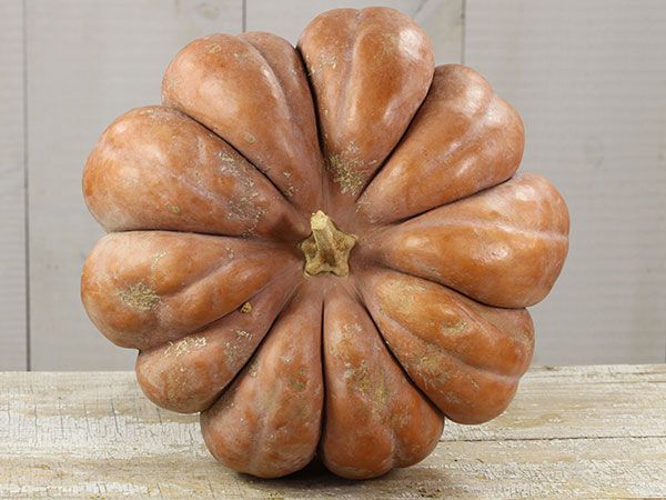 Pumpkin - Musquee De Provence - Heirloom Seeds 1 Pumpkin - Musquee De Provence - Heirloom Seeds