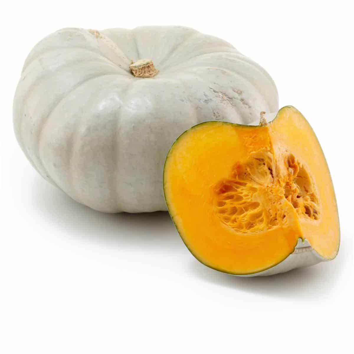 Pumpkin - Queensland Blue - Organic Seeds 1 Pumpkin - Queensland Blue - Organic Seeds
