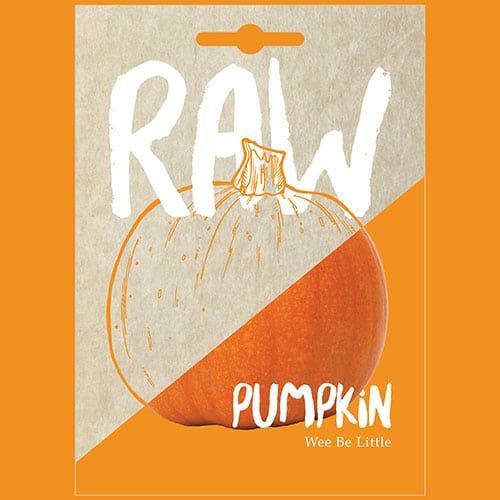 Pumpkin Wee Be Little 1 Pumpkin Wee Be Little