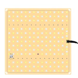 Full Spectrum LED Grow Light QBCC600 PRO