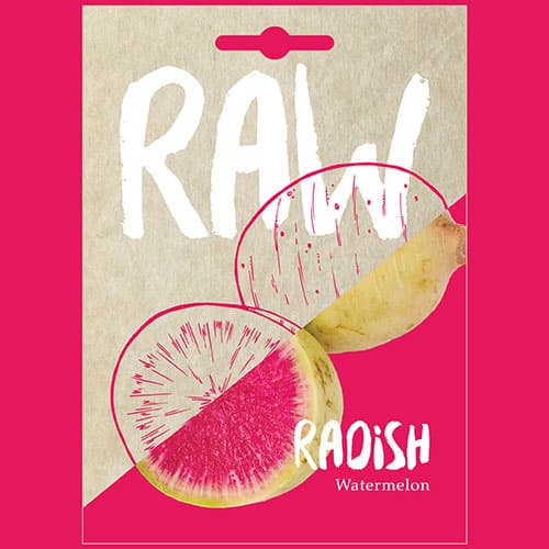Radish Watermelon 1 Radish Watermelon