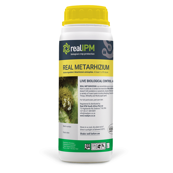 Metarhizium 69 Bio-Pesticide 1 Metarhizium 69 Bio-Pesticide
