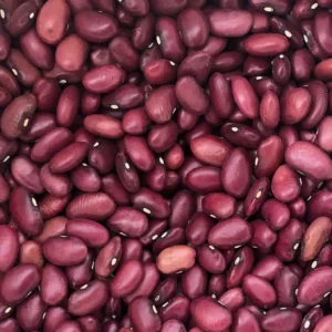 Beans - Pole - Red Calico Lima