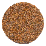 Rocket Microgreens and Sprouting Seed 250G