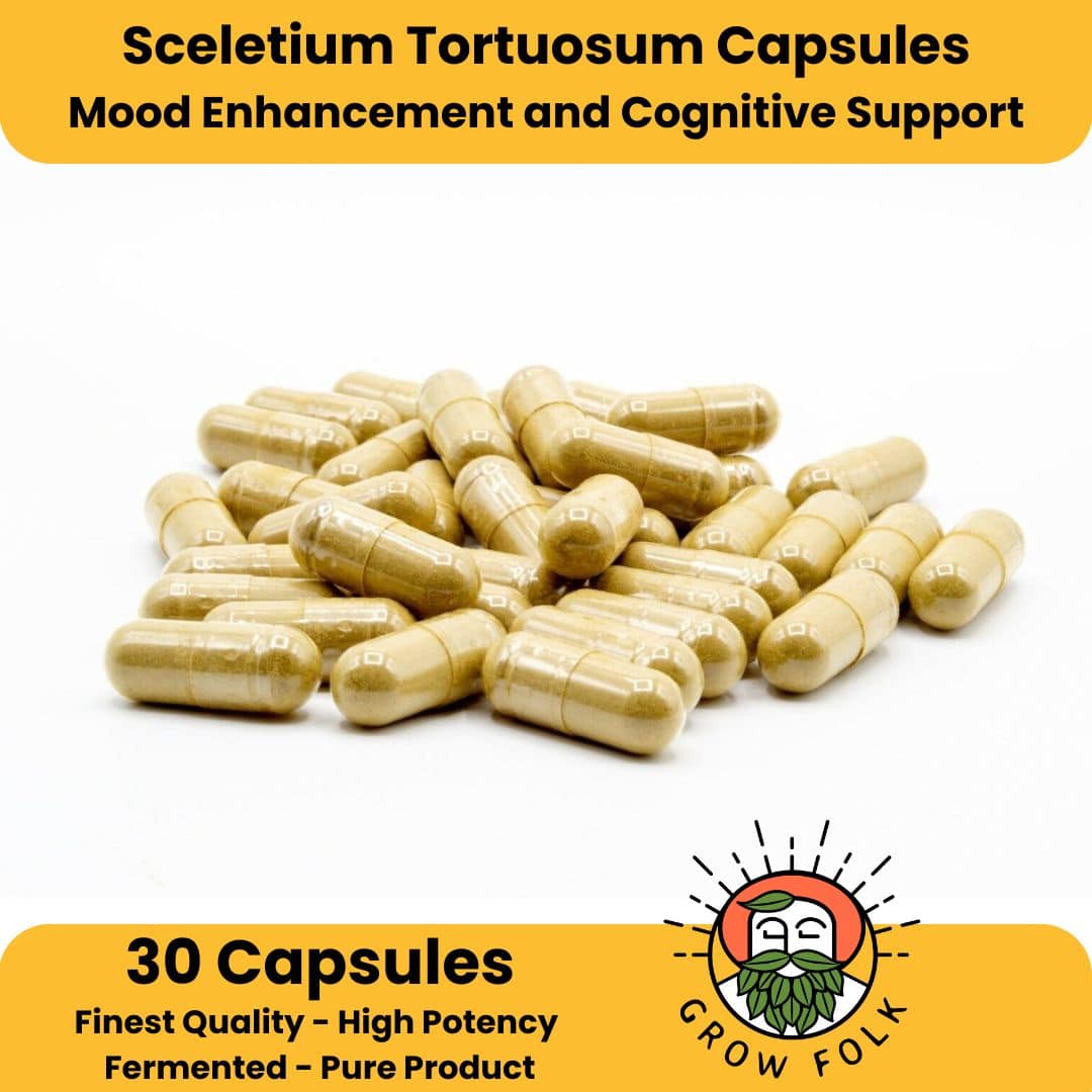 Sceletium Tortuosum 30 Capsules 1 Sceletium Tortuosum 30 Capsules