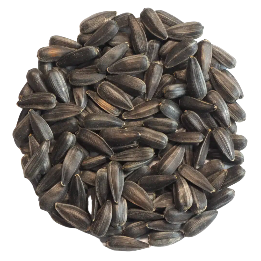 Sunflower Whole Black & White Microgreens and Sprouting Seed 500G 1 Sunflower Whole Black & White Microgreens and Sprouting Seed 500G