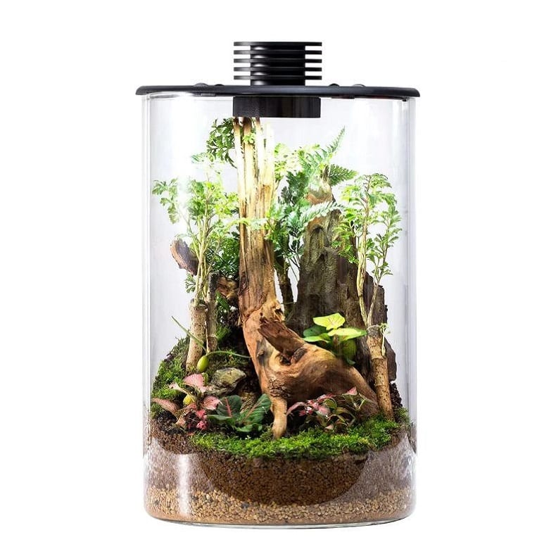 Terrarium Glass Bio Cylinder 9.4L with LED Light 1 Terrarium Glass Bio Cylinder 9.4L with LED Light
