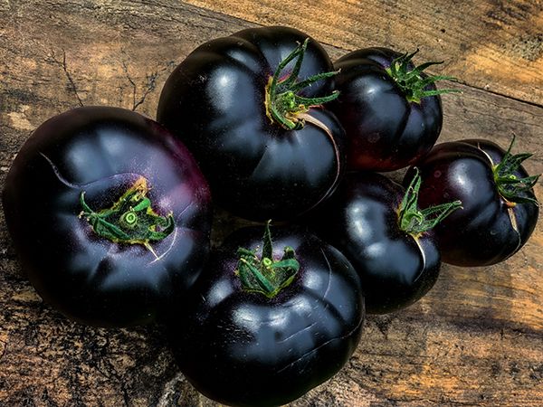 Tomato - Black Beauty - Heirloom Seeds 1 Tomato - Black Beauty - Heirloom Seeds