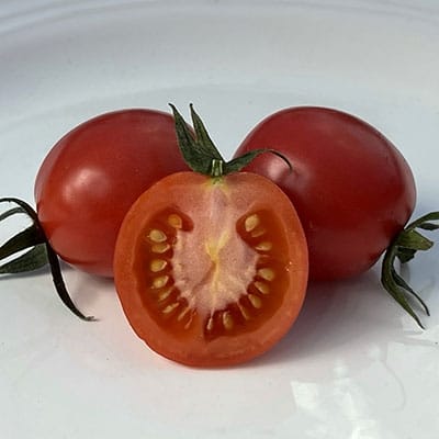 Tomato - God Love - Organic Heirloom Seeds 1 Tomato - God Love - Organic Heirloom Seeds