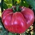 Tomato – Middle Tennessee (Low Acid) – Organic Heirloom Seeds