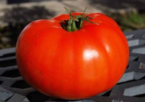 Tomato - Red Beefsteak - Heirloom Seeds