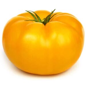 Tomato - Yellow Beefsteak - Heirloom Seeds