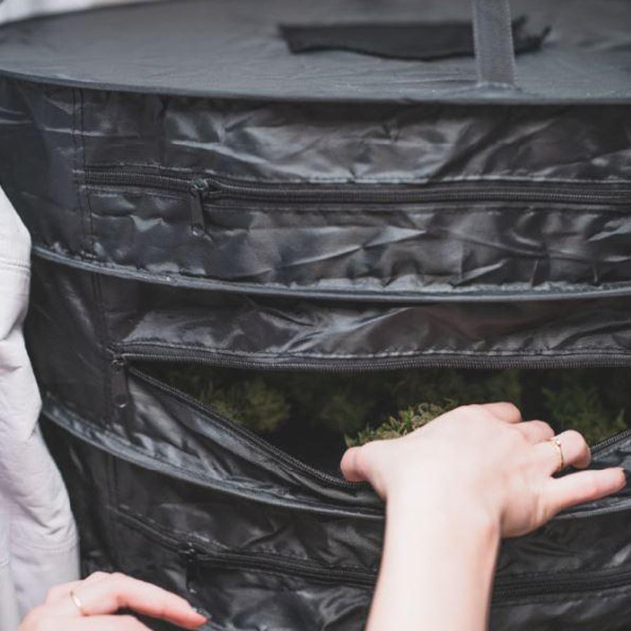 WeDryer XL (60cm Diameter) - Full herb dryer 2 WeDryer XL (60cm Diameter) - Full herb dryer - Image 2