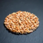 Wheatgrass Microgreens and Sprouting Seed 1KG