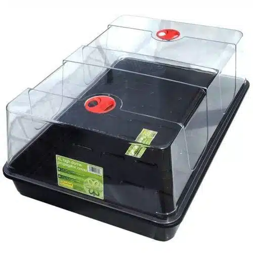 XL High Dome Propagator 2 XL High Dome Propagator - Image 2