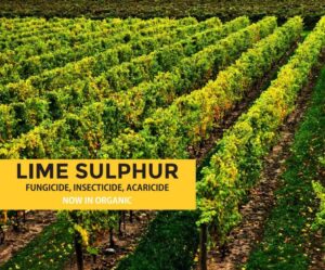 Lime Sulphur Natural Fungicide Bactericide Insecticide