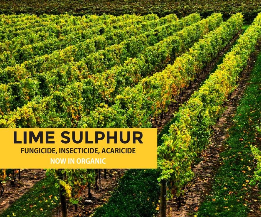 Lime Sulphur Natural Fungicide Bactericide Insecticide 1 Lime Sulphur Natural Fungicide Bactericide Insecticide