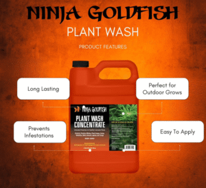 Ninja Goldfish Plant Wash - Defense & Health