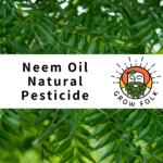 Neem Oil Natural Pesticide