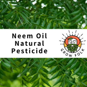 Neem Oil Natural Pesticide