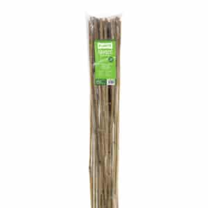 Bamboo Stakes 90cm - Pack of 25